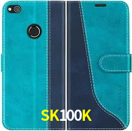 SK100K